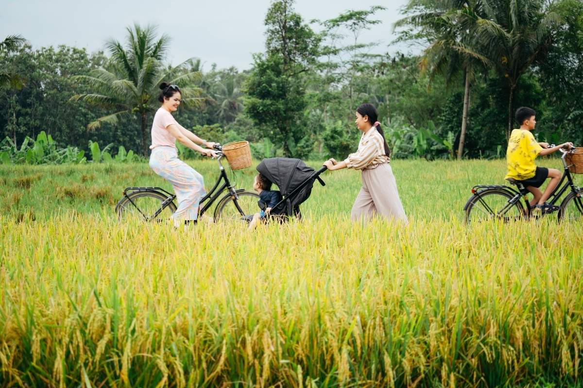 thuê xe đạp và đạp đến Làng rau Trà Quế
